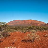Mt augustus