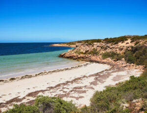 Laura Bay Conservation Park